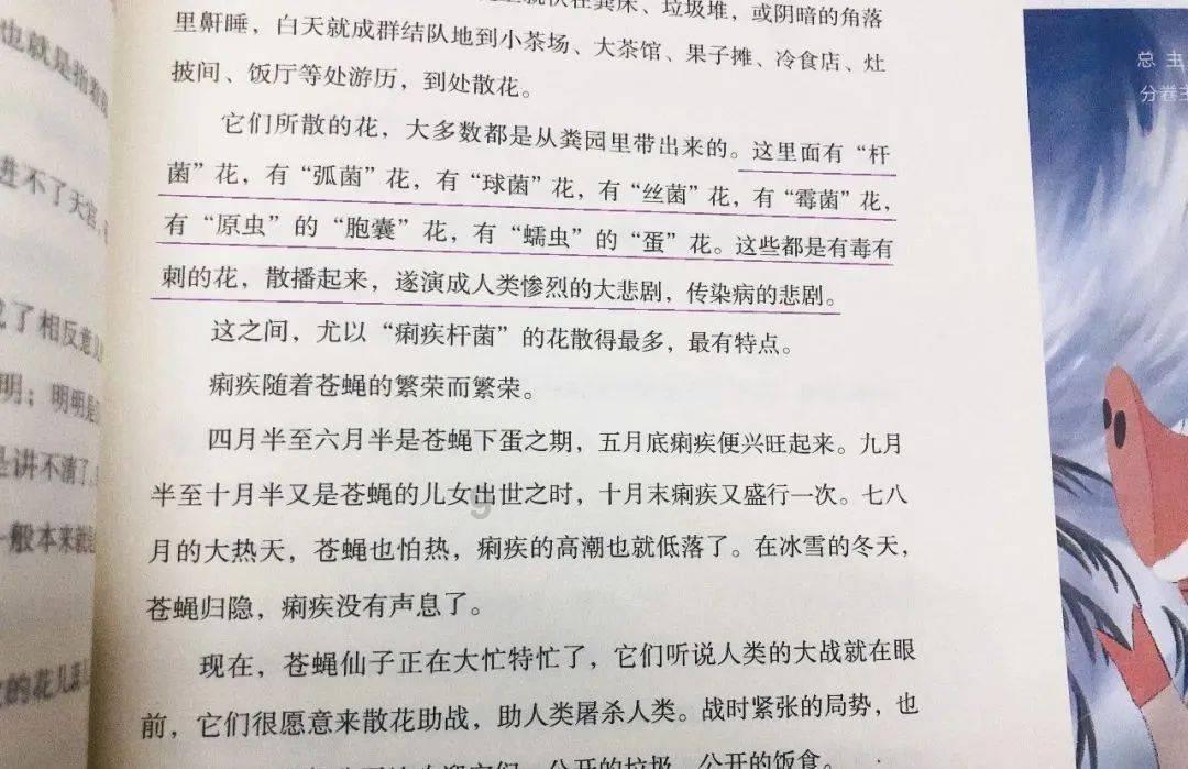 引球进框选关版